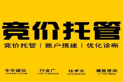 SEM推广策略：实战案例解析